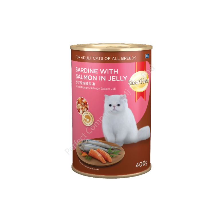 Cat & Dog Food